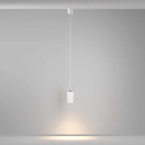 Подвесной светильник Maytoni P100PL-20W3K-W