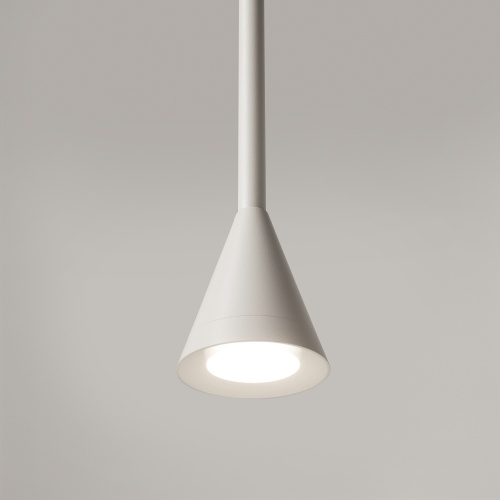 Подвесной светильник Maytoni P064PL-01W-1