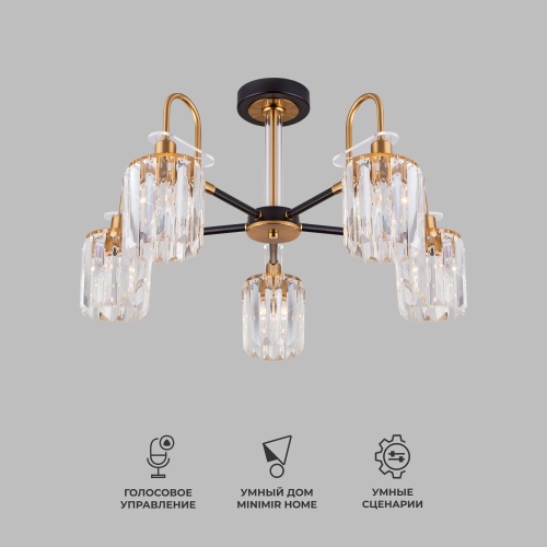 Потолочный светильник Eurosvet 70090/5 черный Smart