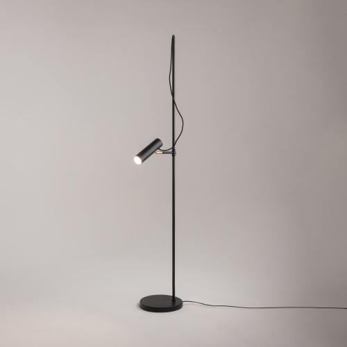 Напольный светильник (торшер) Maytoni MOD129FL-01B