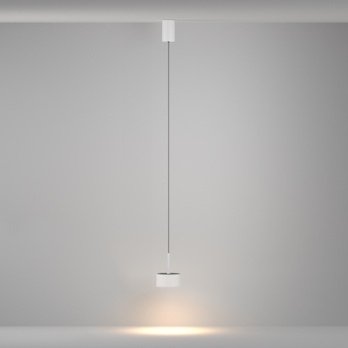 Подвесной светильник Maytoni P102PL-12W3K-W