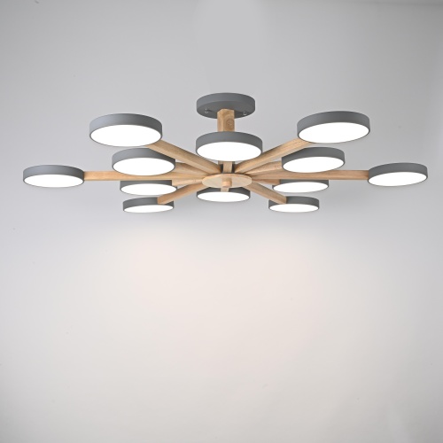 Потолочный Светильник Turna L12 Grey от Imperiumloft 228859-26