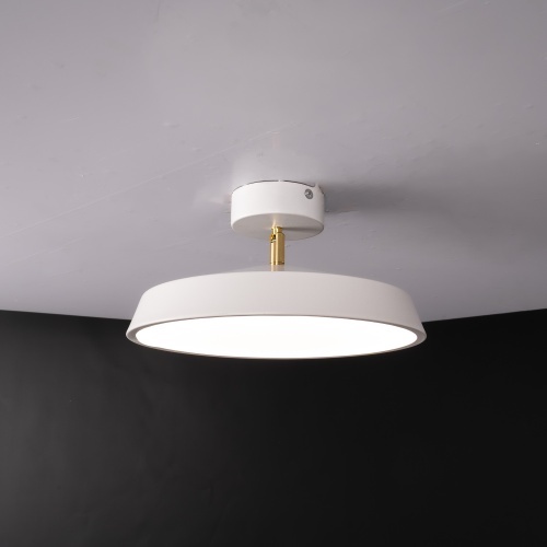 Потолочный светильник BIRK D30 White 377315-23