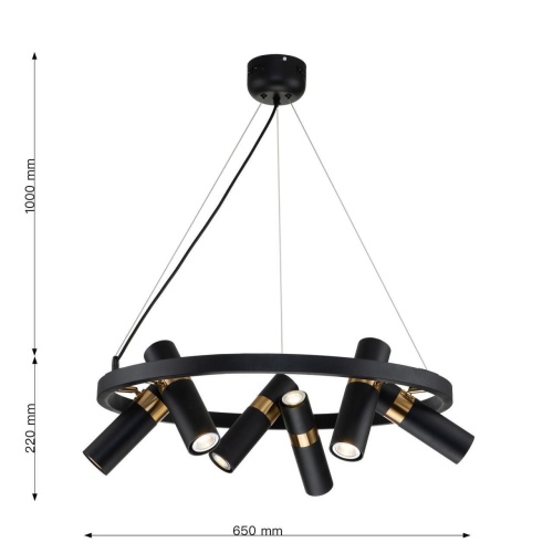 Подвесная люстра Favourite 2997-6P, подвесная люстра, D650xH290/1220, 12xGU10LEDx5W, excluded