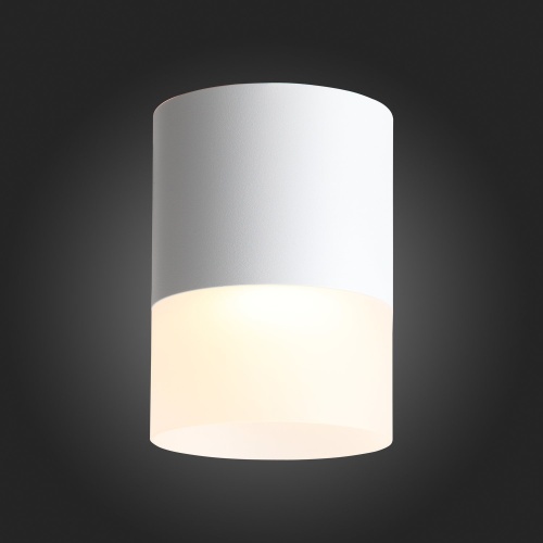 ST100.502.15 Светильник потолочный Белый LED 1*15W 3000K 1 170Lm Ra&gt;80 120° D118xH150 170-240V Накладные светильники