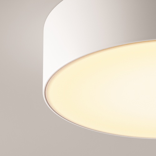 Потолочный светильник Outdoor O431CL-L30W3K