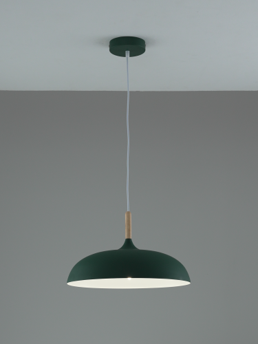Светильник подвесной Moderli V11804-1P Hygo