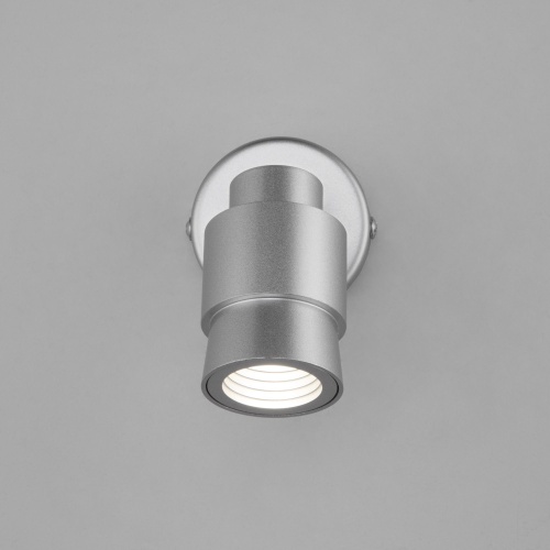 Настенный светильник Eurosvet 20125/1 LED серебро