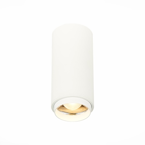 ST600.532.10 Светильник потолочный Zoom Белый LED 1*10W 3000K 1 000Lm Ra&gt;80 15-60° IP20 D59xH130 170 Накладные светильники