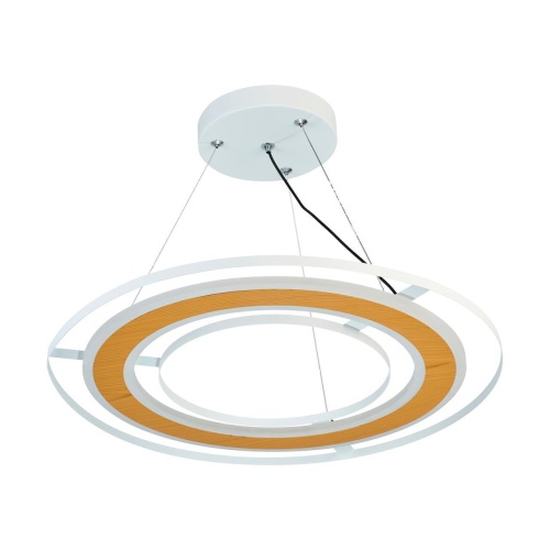 Подвесная люстра F-Promo 4696-4P, подвесная люстра, D450xH400/1500, LEDx30W, 2300LM, 3000-6000K, included, remote control