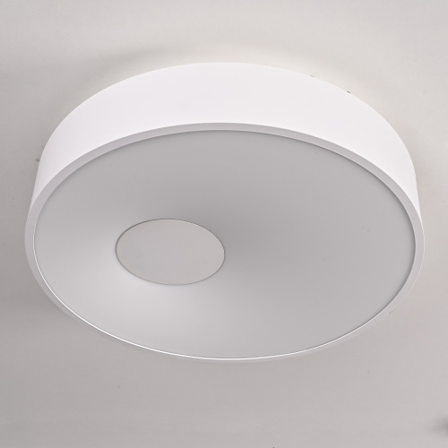 Потолочный светильник ECLA D45 189550-26