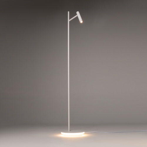 Напольный светильник (торшер) Maytoni Z010FL-L8W3K