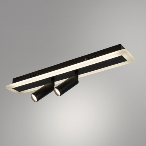 Arte lamp A2607PL-22BK СВЕТИЛЬНИК ПОТОЛОЧНЫЙ