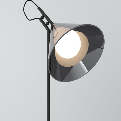 Настольный светильник Eurosvet 01186/1 черный