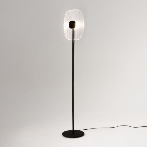Напольный светильник (торшер) Maytoni MOD152FL-L1BK