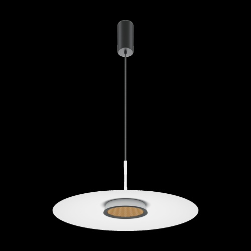 Подвесной светильник Maytoni MOD041PL-L15W3K1