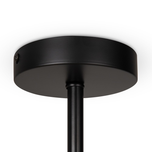 Потолочный светильник Freya FR5376CL-06B