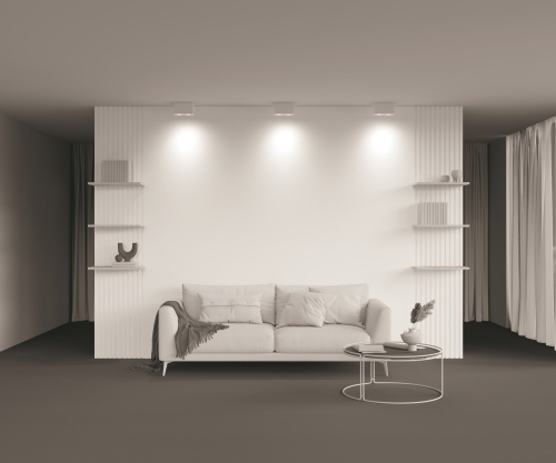 Потолочный светильник Technical C017CL-02W