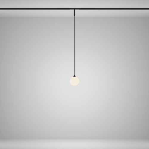 Трековый подвесной светильник Technical TR178-1-5WTW-B