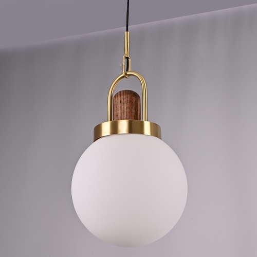 Подвесной светильник Arc Globe Шар D20 191841-26