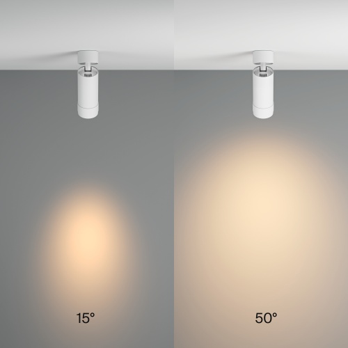 Потолочный светильник Technical C055CL-L12W3K-Z-W