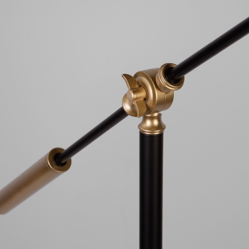 Напольный светильник Eurosvet 01143/1 черный/золото