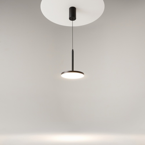 Подвесной светильник Maytoni P076PL-L12W4K-B