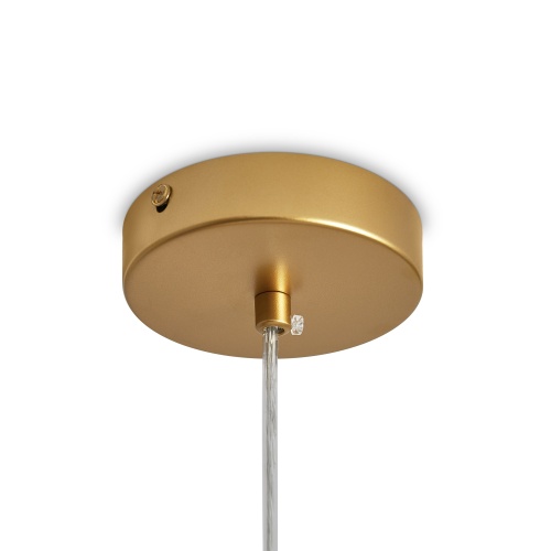 Подвесной светильник Freya FR5528PL-01BS