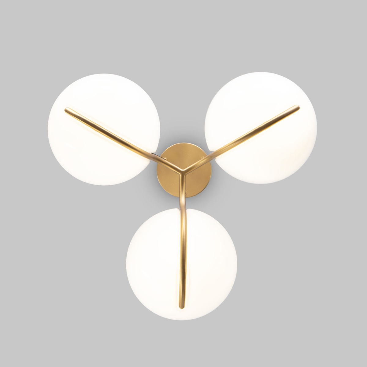 card-img
