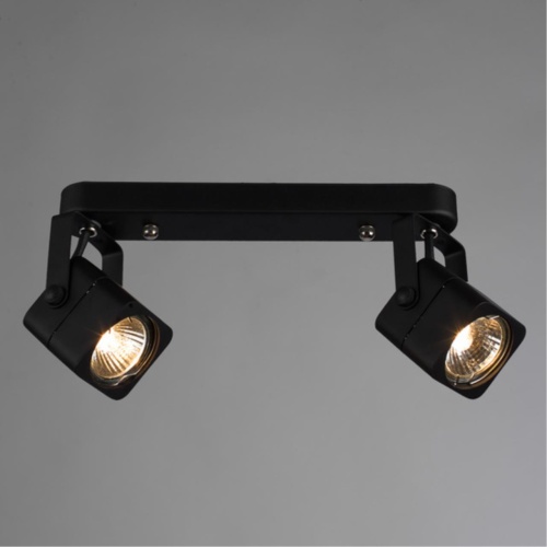 Arte lamp A1314PL-2BK СВЕТИЛЬНИК ПОТОЛОЧНЫЙ
