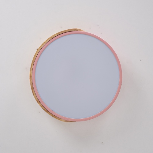 Потолочный светильник CLIP Pink D30 193041-26