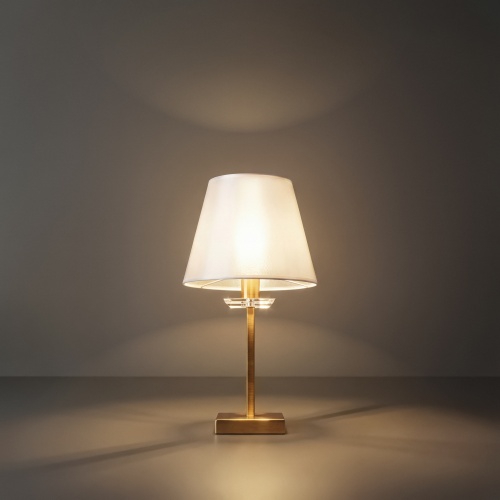 Настольный светильник Freya FR1006TL-01G