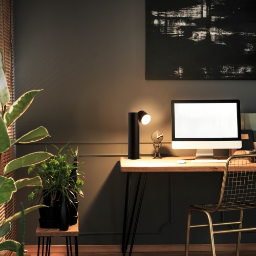 Настольный светильник Eurosvet 80425/1 черный