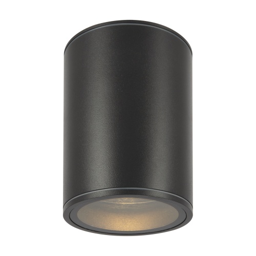 Уличный потолочный светильник Outdoor O306CL-L7GF
