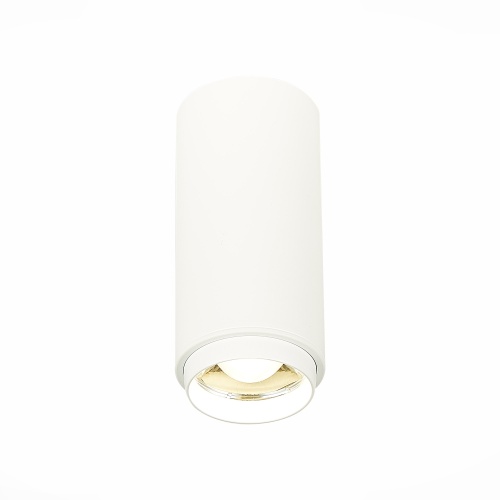 ST600.542.10 Светильник потолочный Zoom Белый LED 1*10W 4000K 1 000Lm Ra&gt;80 15-60° IP20 D59xH130 170 Накладные светильники