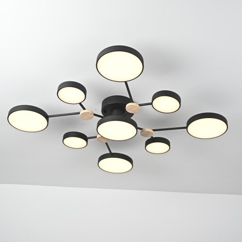 Потолочная люстра GAMMA D98 Black 223769-23