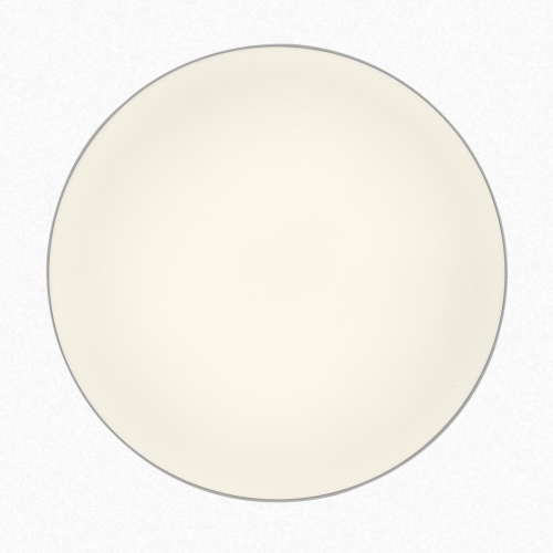 CL755390 BART Белый Св-к Наст.-Потол