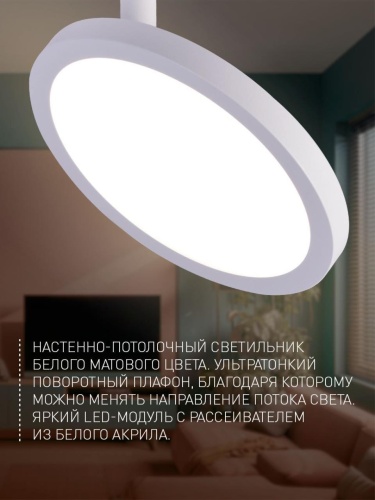 Потолочный светильник 4119-1U