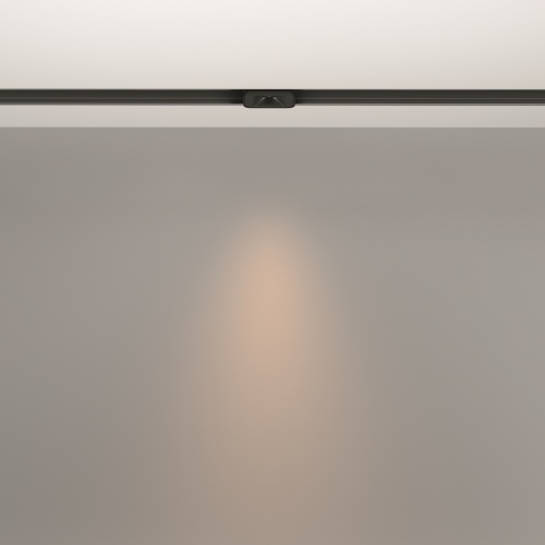 Трековый светильник Technical TR100-2-2W3K-S-B