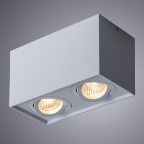 Накладной светильник Arte lamp A5544PL-2WH СВЕТИЛЬНИК ПОТОЛОЧНЫЙ