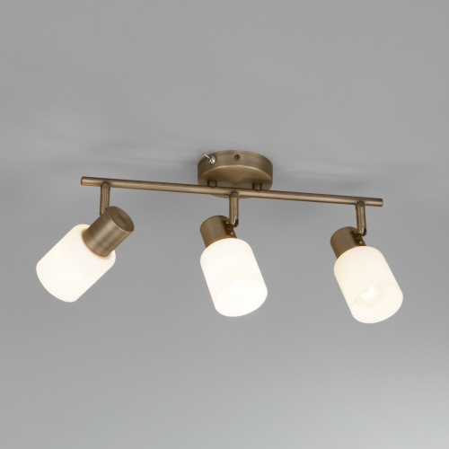 Настенный светильник Eurosvet 20089/3 бронза