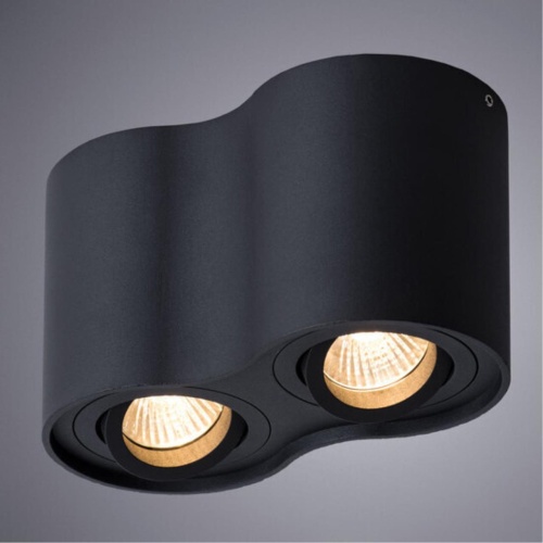Накладной светильник Arte lamp A5645PL-2BK СВЕТИЛЬНИК ПОТОЛОЧНЫЙ