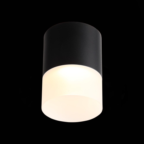ST100.402.15 Светильник потолочный Черный LED 1*15W 3000K 1 170Lm Ra&gt;80 120° D118xH150 170-240VV Накладные светильники