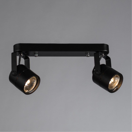 Arte lamp A1310PL-2BK СВЕТИЛЬНИК ПОТОЛОЧНЫЙ