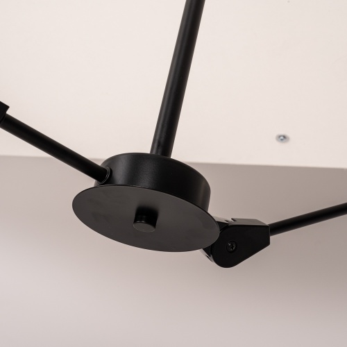 Люстра На Штанге Late D55 Black от Imperiumloft 193586-26