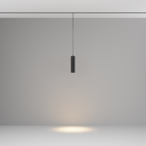 Трековый подвесной светильник Technical TR041-2-12W3K-B