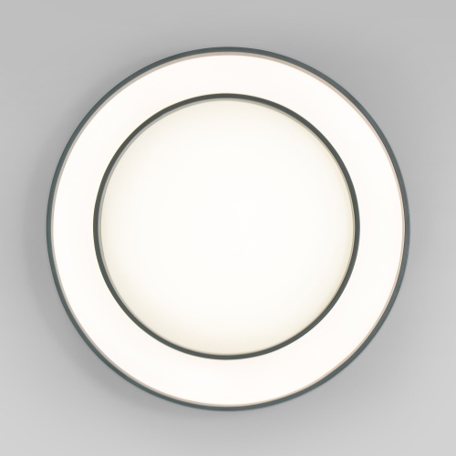 Потолочный светильник Eurosvet 90330/2 серый