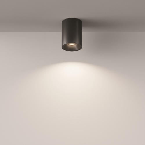 Потолочный светильник Technical C029CL-01B