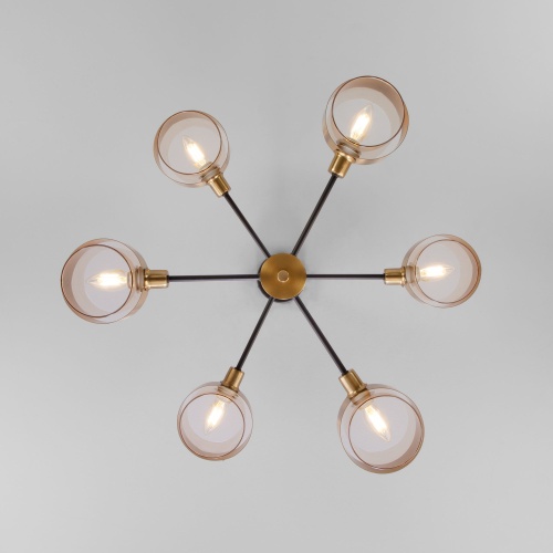 Потолочный светильник Eurosvet 70127/6 черный