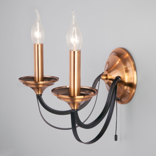 Настенный светильник Eurosvet 60098/2 черный